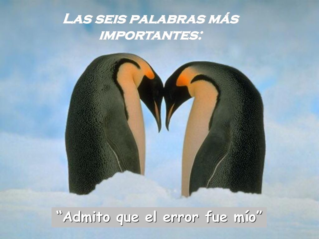 Las seis palabras más importantes: Admito que el error fue mío