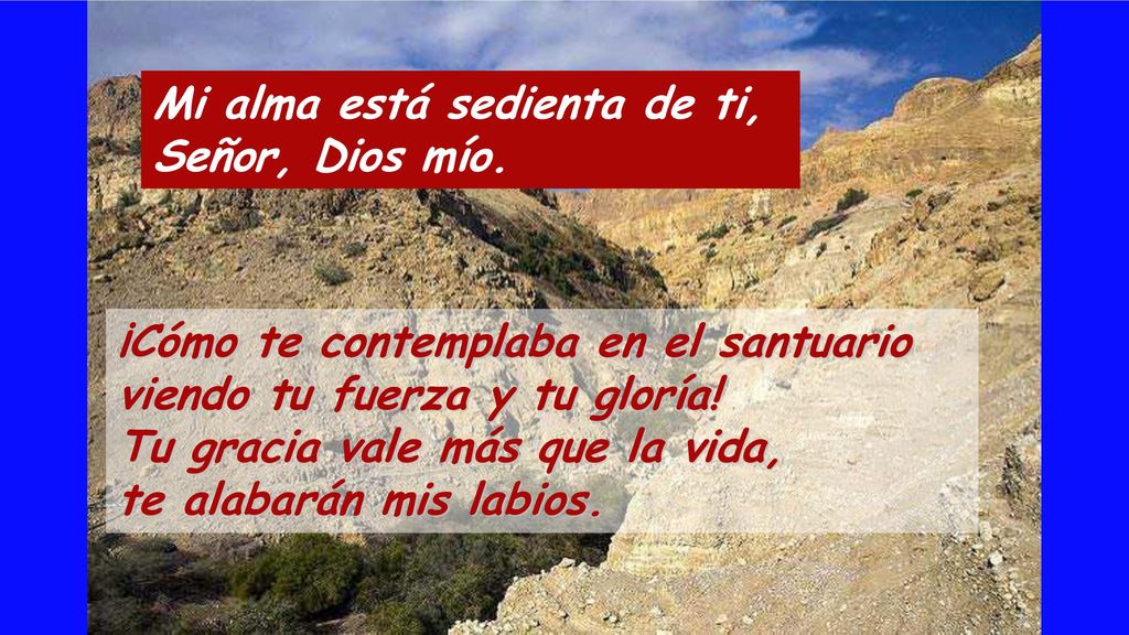 Mi alma está sedienta de ti, Señor, Dios mío.