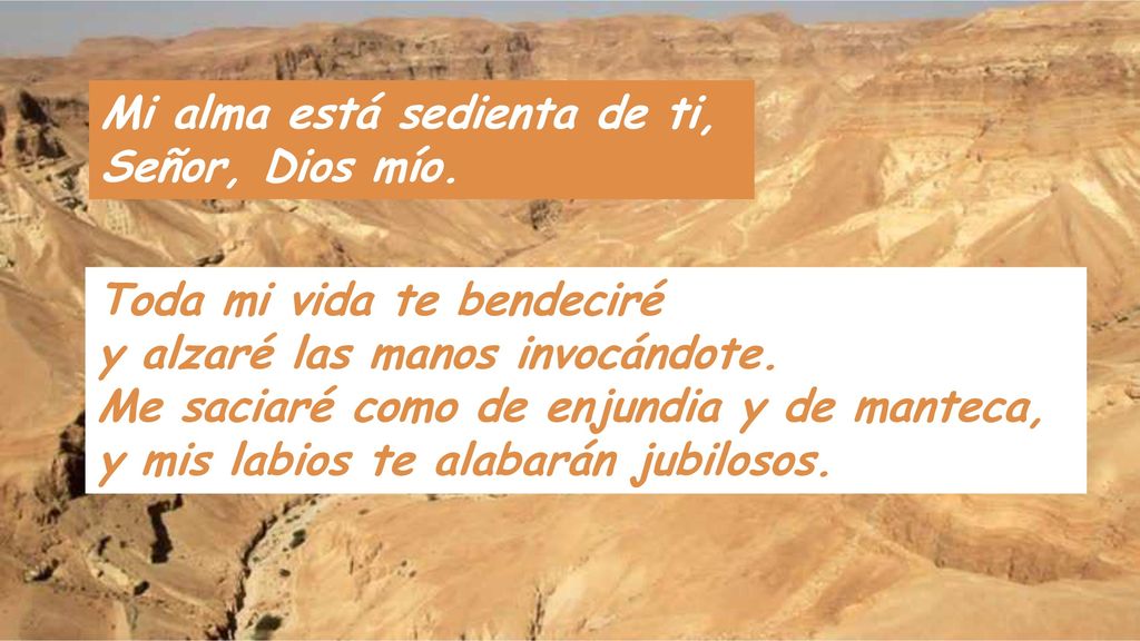 Mi alma está sedienta de ti, Señor, Dios mío.