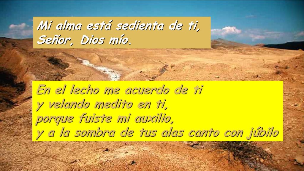 Mi alma está sedienta de ti, Señor, Dios mío.