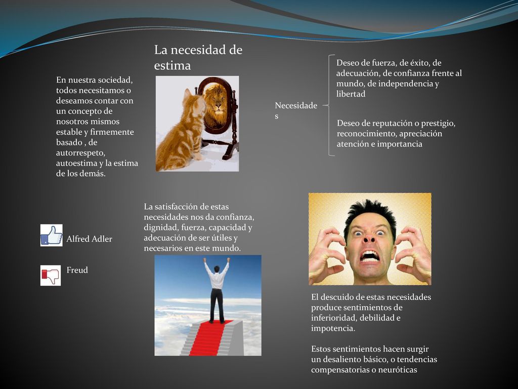 La necesidad de estima Necesidades. Deseo de fuerza, de éxito, de adecuación, de confianza frente al mundo, de independencia y libertad.