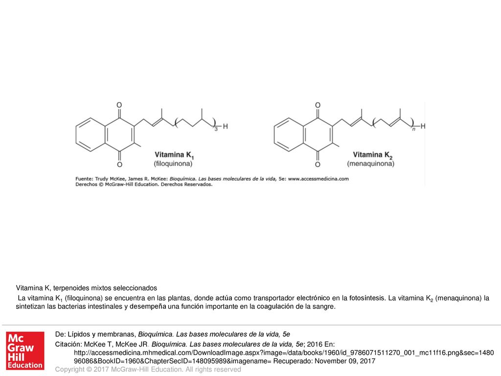 La vitamina K1 (filoquinona) se encuentra en las plantas, donde actúa como transportador electrónico en la fotosíntesis. La vitamina K2 (menaquinona) la sintetizan las bacterias intestinales y desempeña una función importante en la coagulación de la sangre.