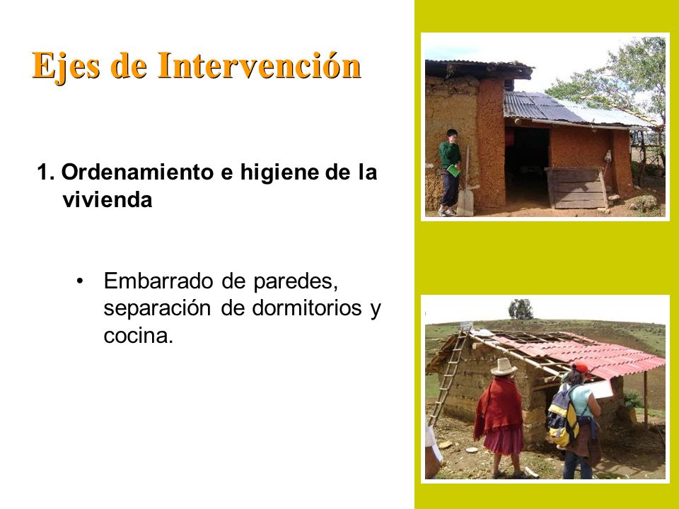 Ejes de Intervención 1. Ordenamiento e higiene de la vivienda