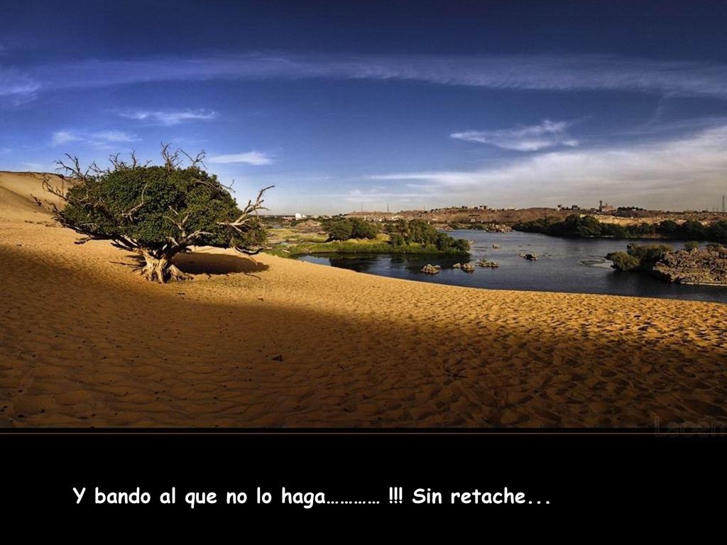 Y bando al que no lo haga………… !!! Sin retache...