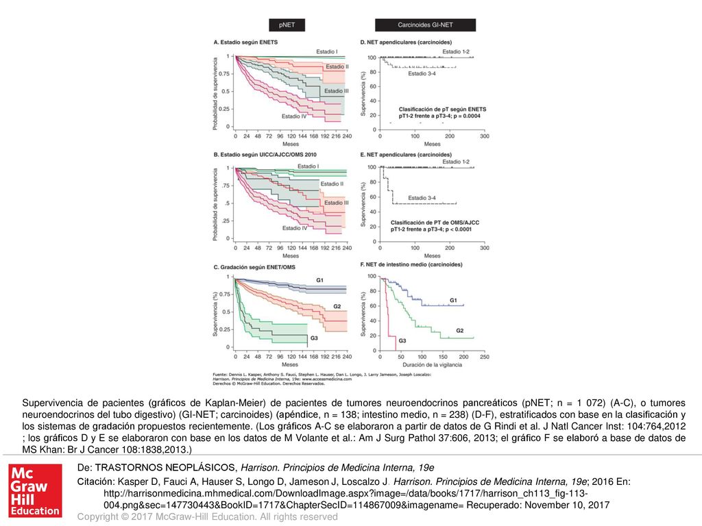 Supervivencia de pacientes (gráficos de Kaplan-Meier) de pacientes de tumores neuroendocrinos pancreáticos (pNET; n = 1 072) (A-C), o tumores neuroendocrinos del tubo digestivo) (GI-NET; carcinoides) (apéndice, n = 138; intestino medio, n = 238) (D-F), estratificados con base en la clasificación y los sistemas de gradación propuestos recientemente. (Los gráficos A-C se elaboraron a partir de datos de G Rindi et al. J Natl Cancer Inst: 104:764,2012 ; los gráficos D y E se elaboraron con base en los datos de M Volante et al.: Am J Surg Pathol 37:606, 2013; el gráfico F se elaboró a base de datos de MS Khan: Br J Cancer 108:1838,2013.)