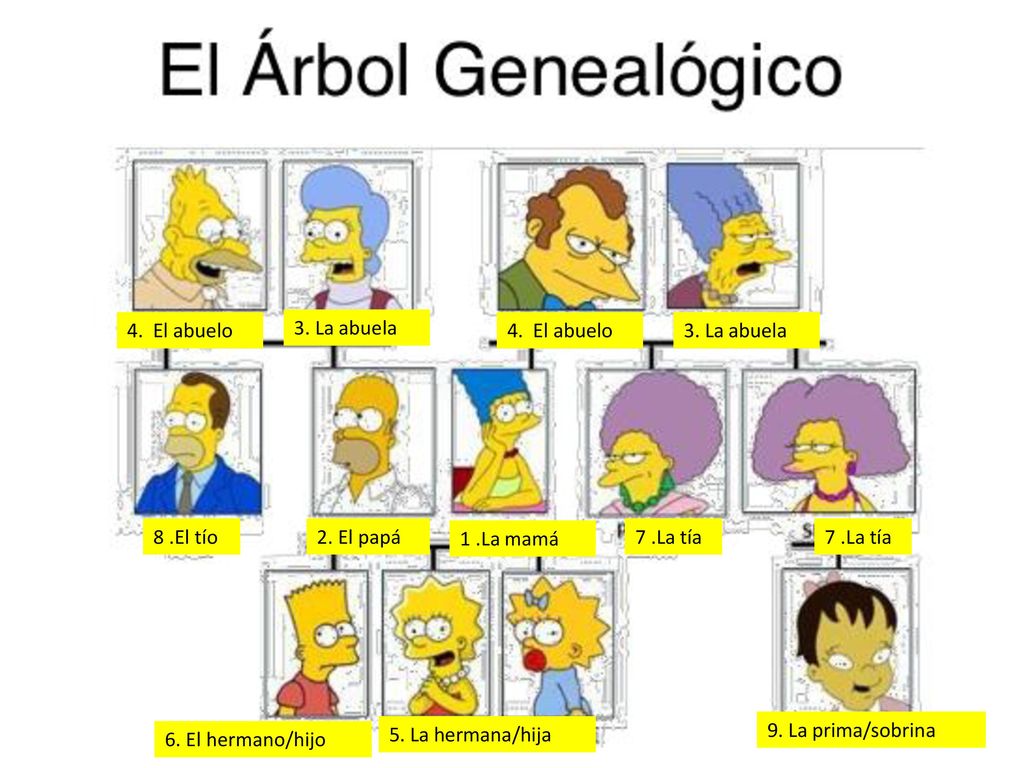 4. El abuelo 3. La abuela. 4. El abuelo. 3. La abuela. 8 .El tío. 2. El papá. 1 .La mamá. 7 .La tía.