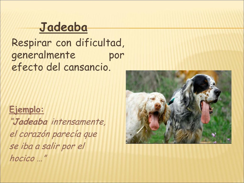 Jadeaba Respirar con dificultad, generalmente por efecto del cansancio. Ejemplo: Jadeaba intensamente,