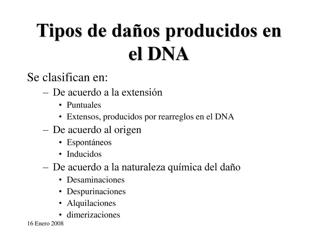 Tipos de daños producidos en el DNA