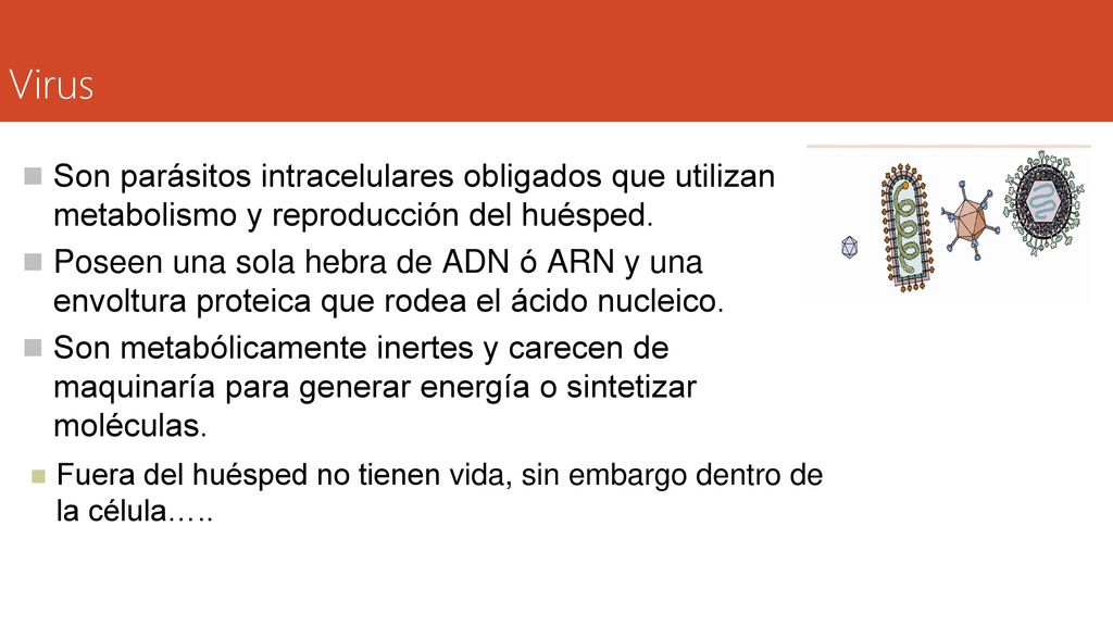 Virus Son parásitos intracelulares obligados que utilizan metabolismo y reproducción del huésped.