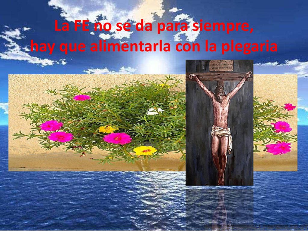 La FE no se da para siempre, hay que alimentarla con la plegaria