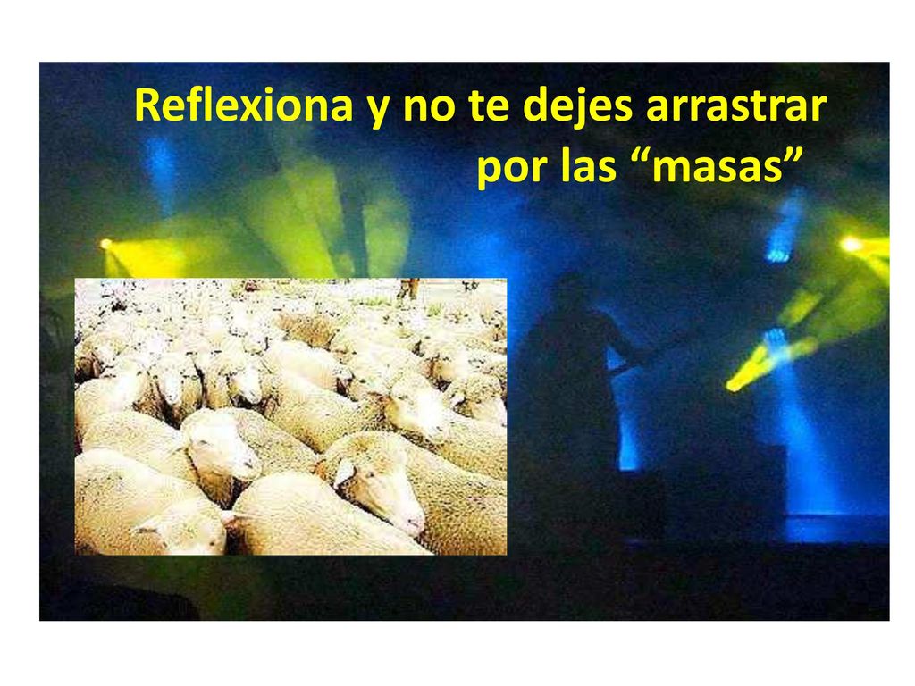 Reflexiona y no te dejes arrastrar por las masas
