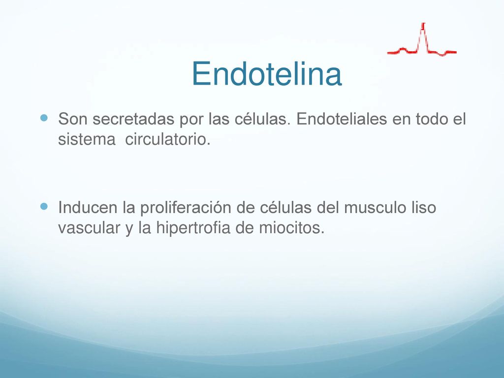 Endotelina Son secretadas por las células. Endoteliales en todo el sistema circulatorio.