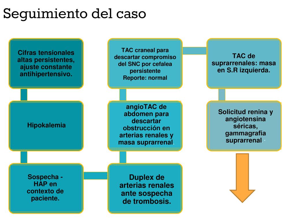 Seguimiento del caso Cifras tensionales altas persistentes, ajuste constante antihipertensivo. .