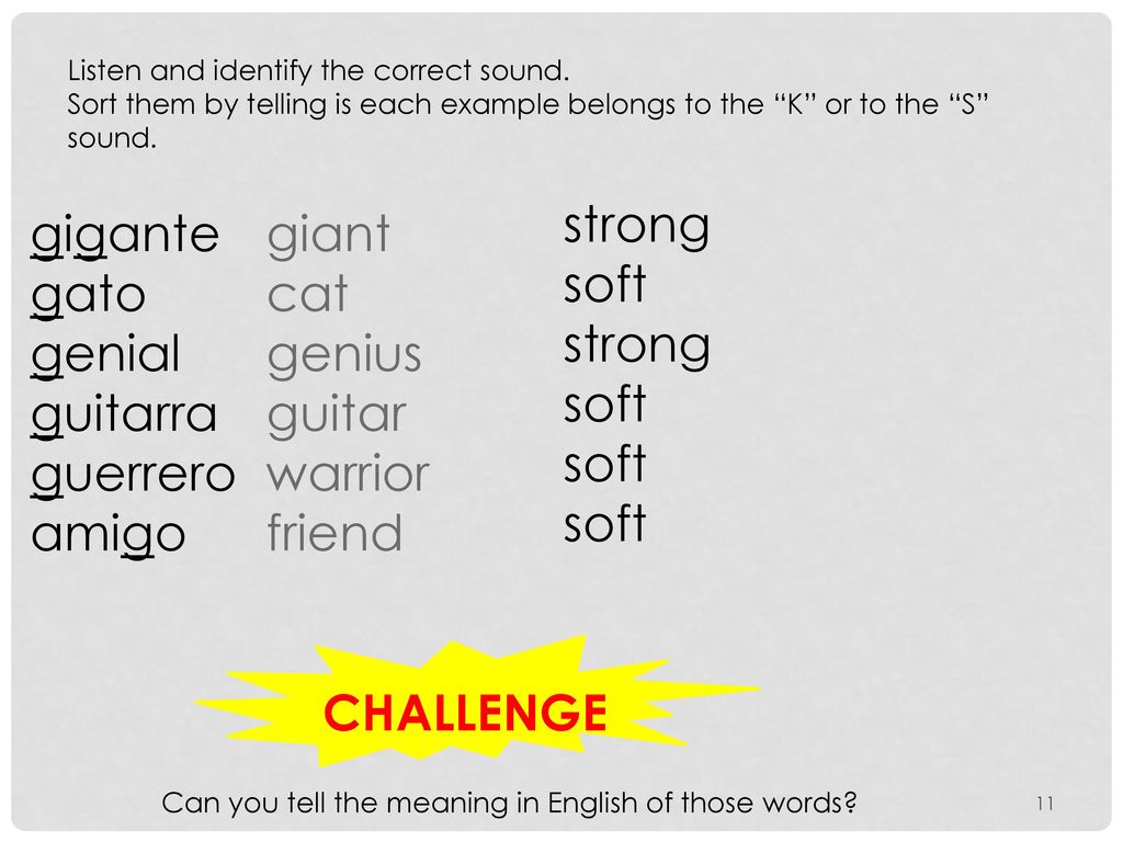 strong soft gigante gato genial guitarra guerrero amigo giant cat