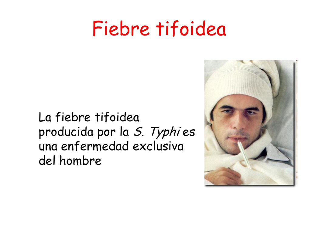 Fiebre tifoidea La fiebre tifoidea producida por la S. Typhi es una enfermedad exclusiva del hombre