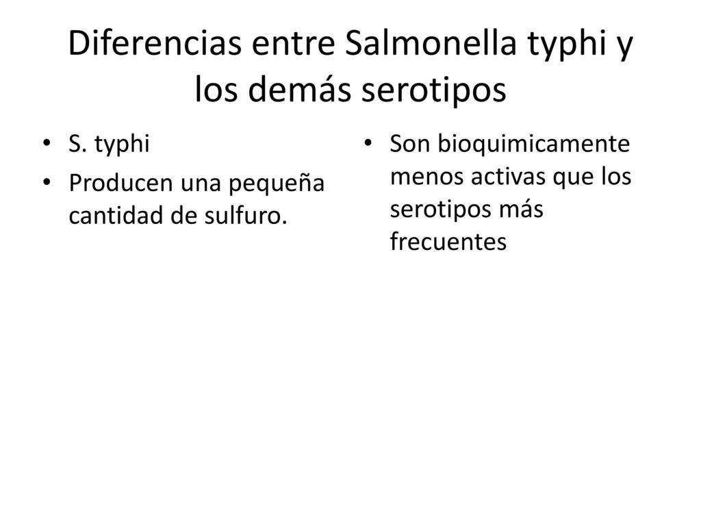 Diferencias entre Salmonella typhi y los demás serotipos
