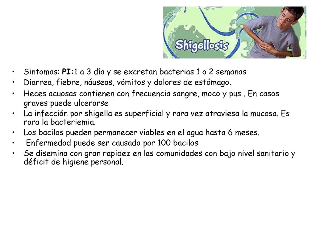 Sintomas: PI:1 a 3 día y se excretan bacterias 1 o 2 semanas