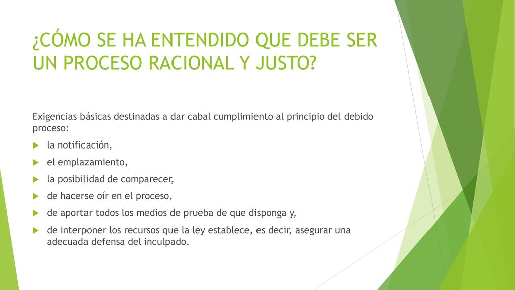 ¿CÓMO SE HA ENTENDIDO QUE DEBE SER UN PROCESO RACIONAL Y JUSTO