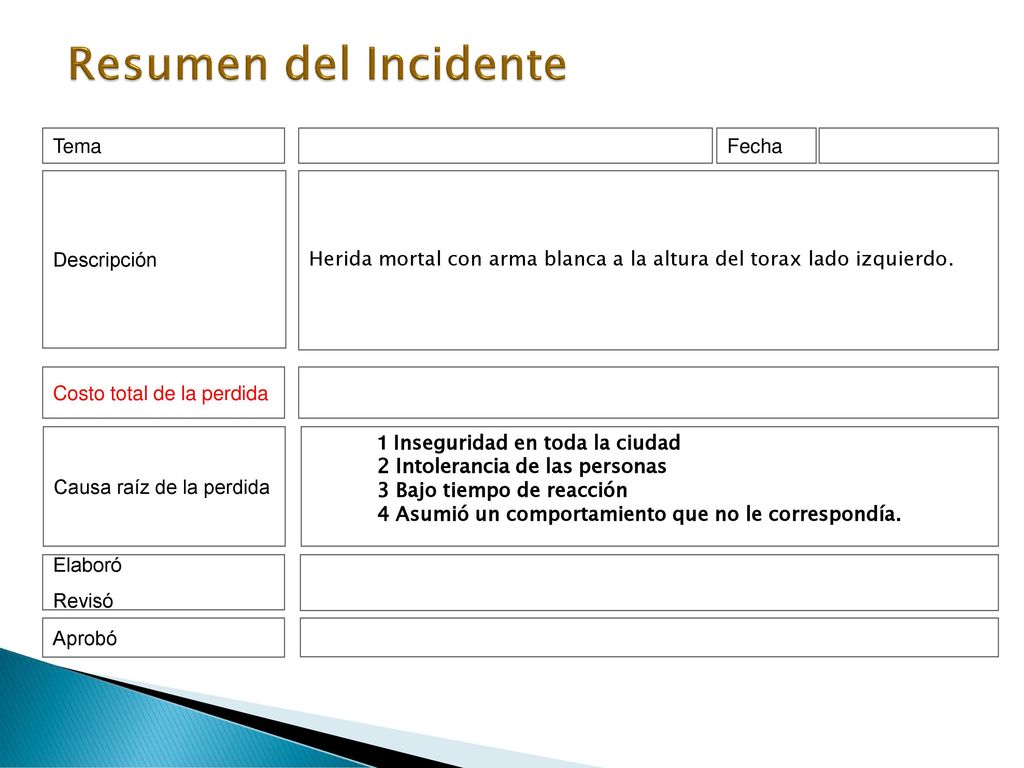 Resumen del Incidente Elaboró Revisó Aprobó Costo total de la perdida