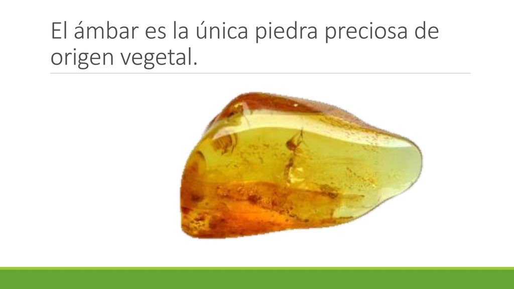 El ámbar es la única piedra preciosa de origen vegetal.