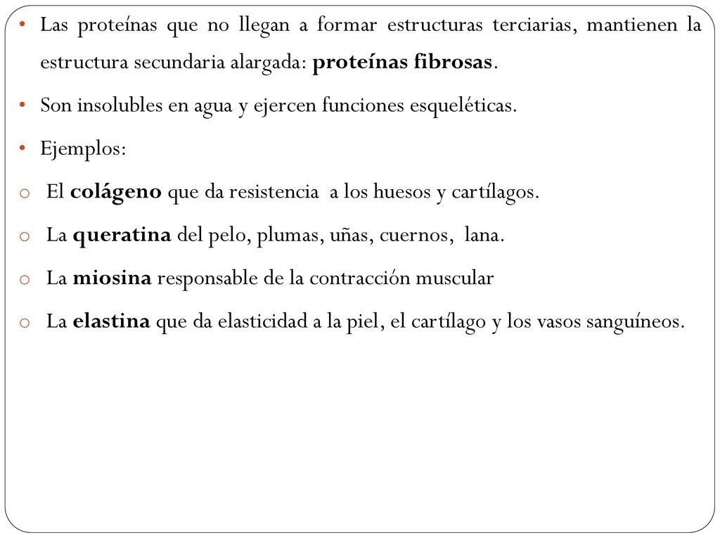 Las proteínas que no llegan a formar estructuras terciarias, mantienen la estructura secundaria alargada: proteínas fibrosas.