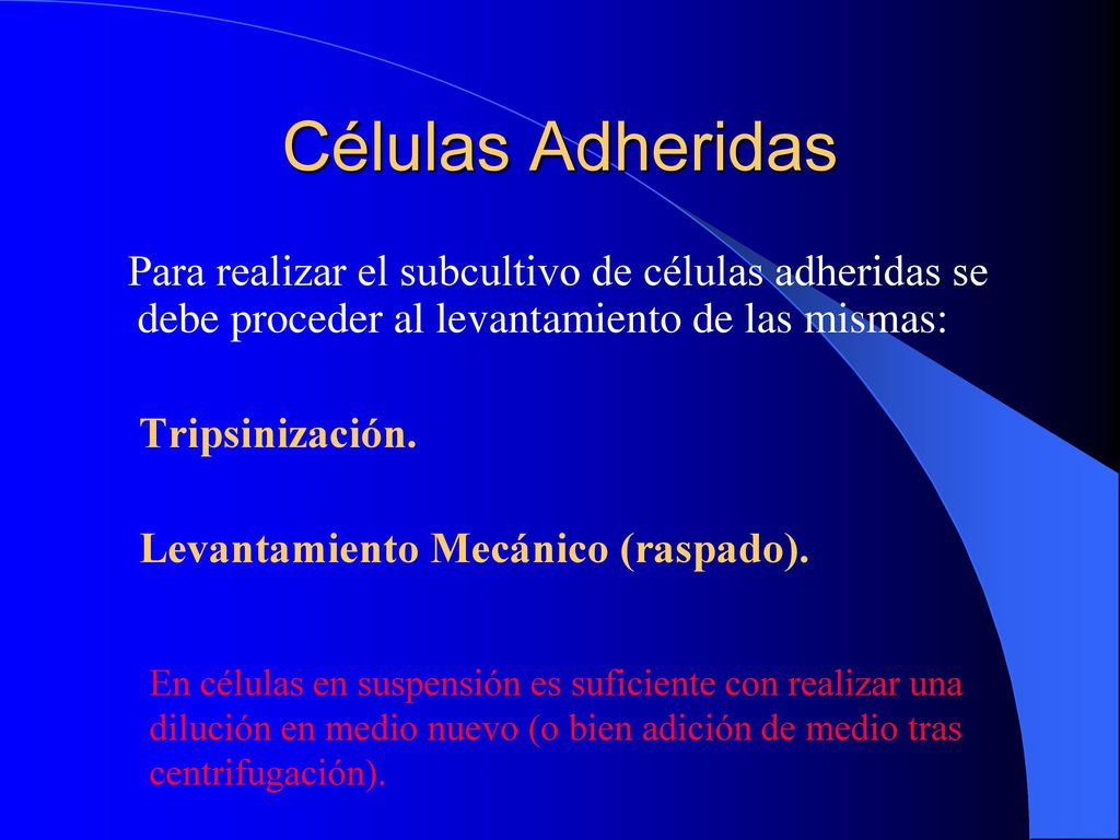 Células Adheridas Para realizar el subcultivo de células adheridas se debe proceder al levantamiento de las mismas: