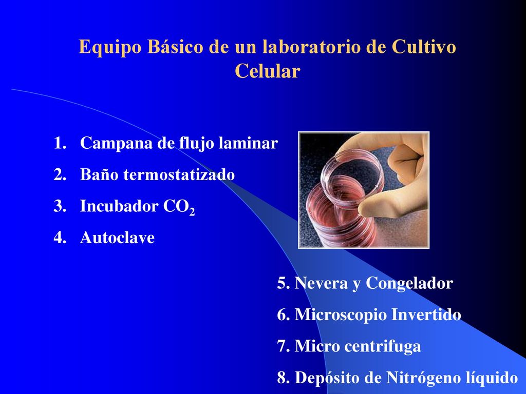 Equipo Básico de un laboratorio de Cultivo Celular