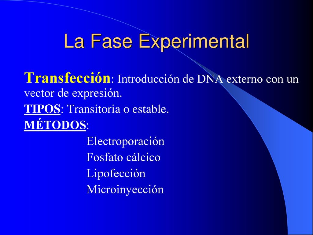 La Fase Experimental Transfección: Introducción de DNA externo con un vector de expresión. TIPOS: Transitoria o estable.