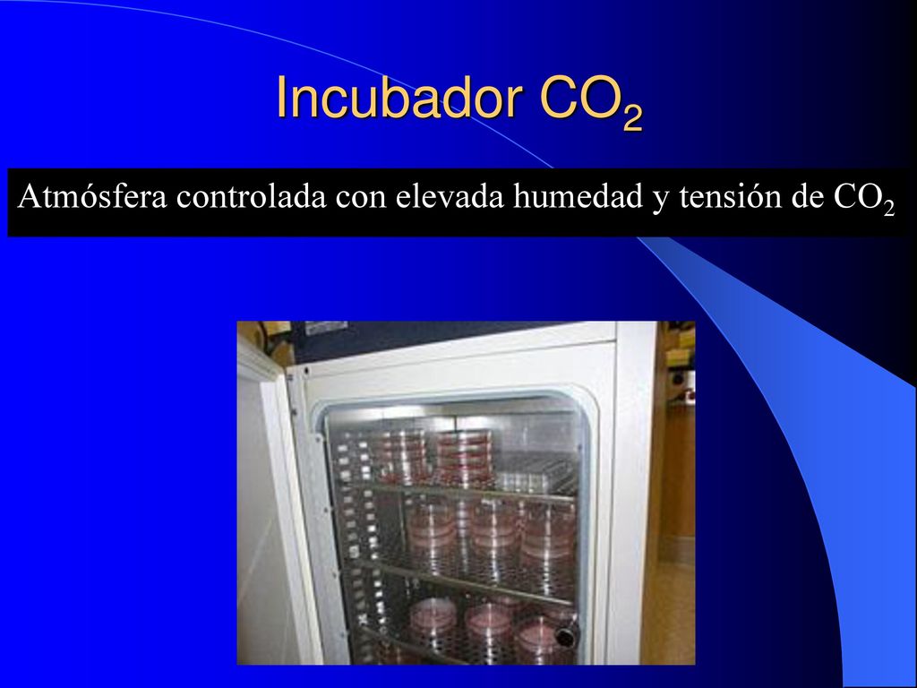 Incubador CO2 Atmósfera controlada con elevada humedad y tensión de CO2