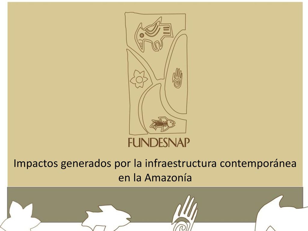 Impactos generados por la infraestructura contemporánea en la Amazonía