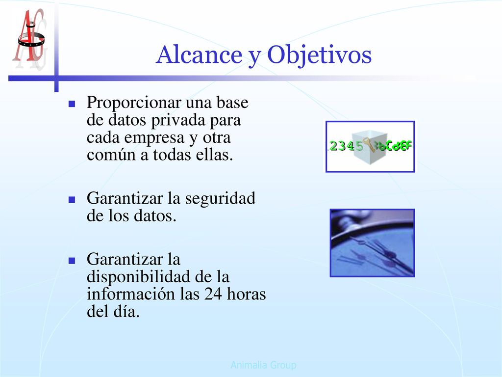 Alcance y Objetivos Proporcionar una base de datos privada para cada empresa y otra común a todas ellas.