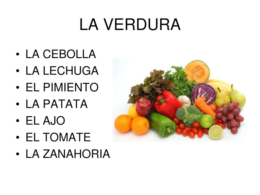 LA VERDURA LA CEBOLLA LA LECHUGA EL PIMIENTO LA PATATA EL AJO