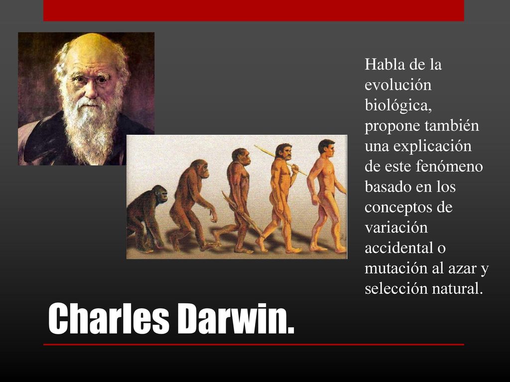 Habla de la evolución biológica, propone también una explicación de este fenómeno basado en los conceptos de variación accidental o mutación al azar y selección natural.