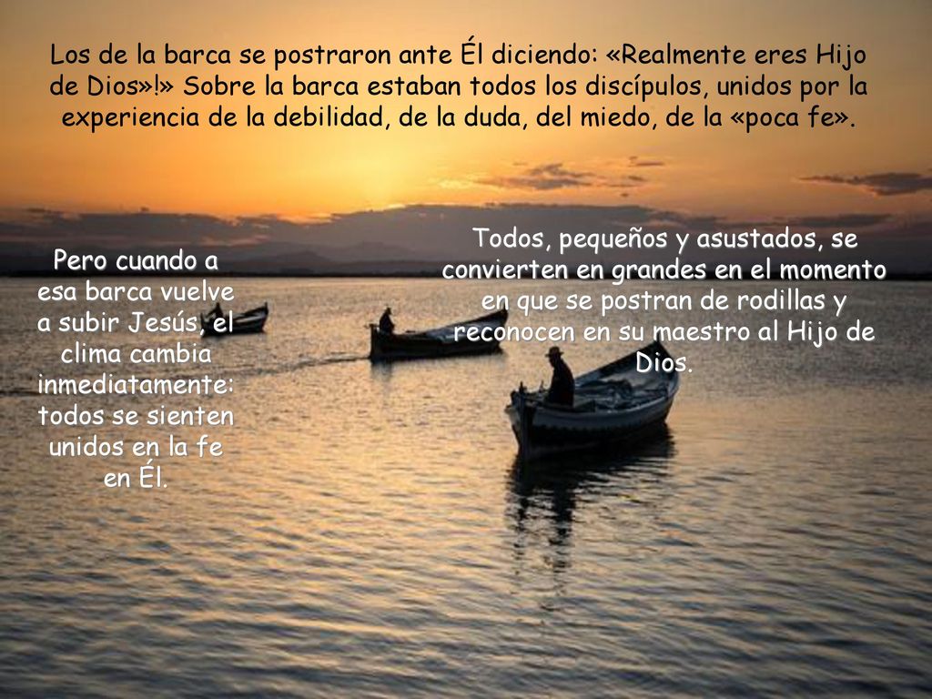 Los de la barca se postraron ante Él diciendo: «Realmente eres Hijo de Dios»!» Sobre la barca estaban todos los discípulos, unidos por la experiencia de la debilidad, de la duda, del miedo, de la «poca fe».