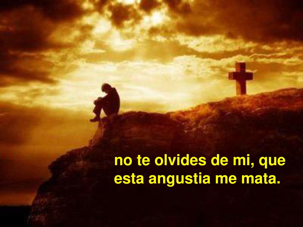 no te olvides de mi, que esta angustia me mata.