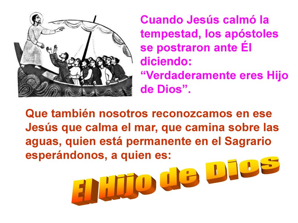 Cuando Jesús calmó la tempestad, los apóstoles se postraron ante Él diciendo: Verdaderamente eres Hijo de Dios .