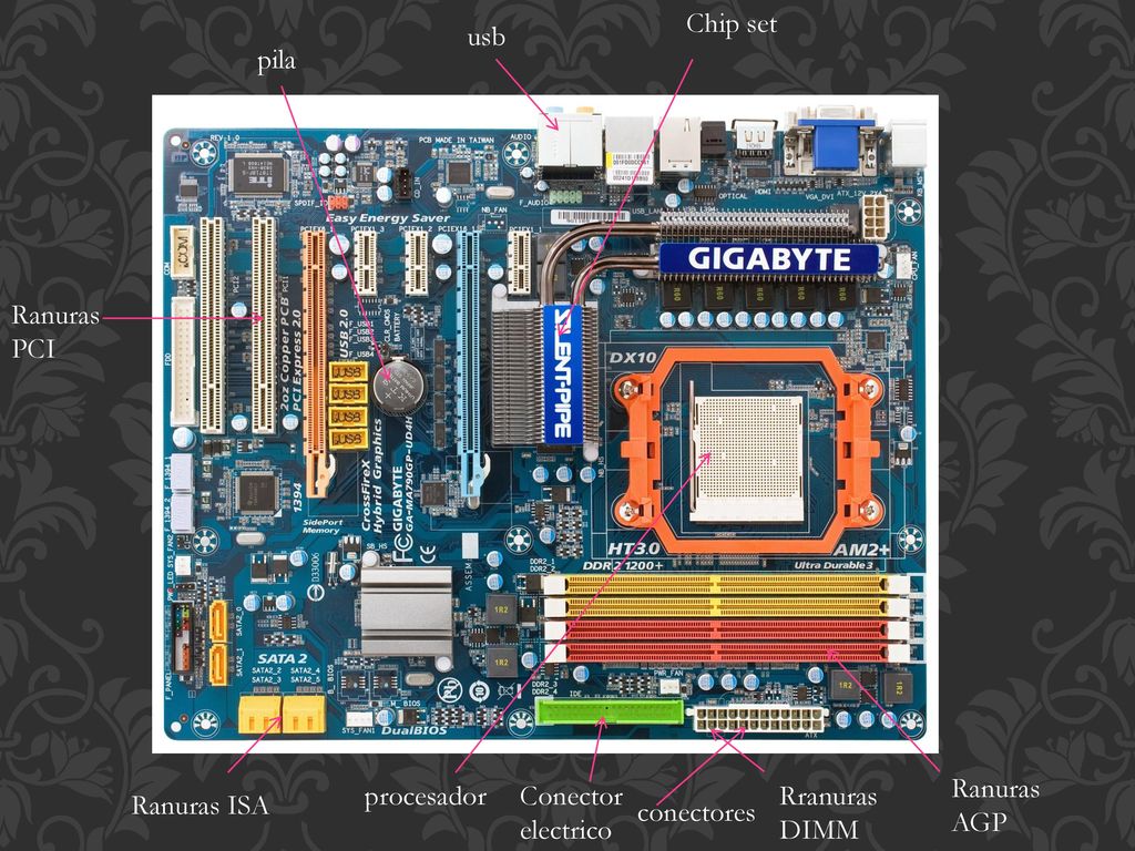 Chip set usb. pila. Ranuras PCI. Ranuras AGP. procesador. Conector electrico. Rranuras DIMM. Ranuras ISA.