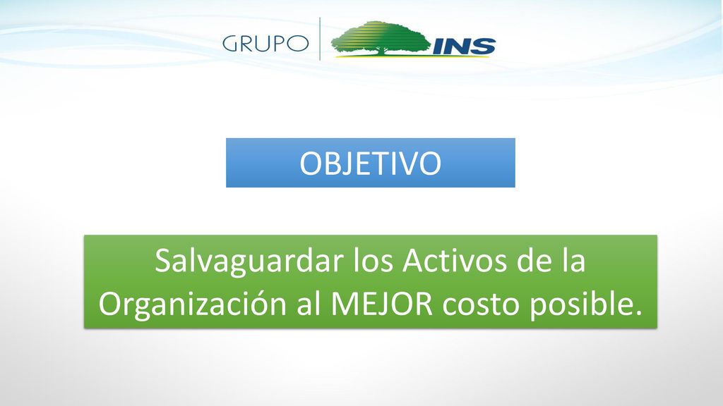Salvaguardar los Activos de la Organización al MEJOR costo posible.