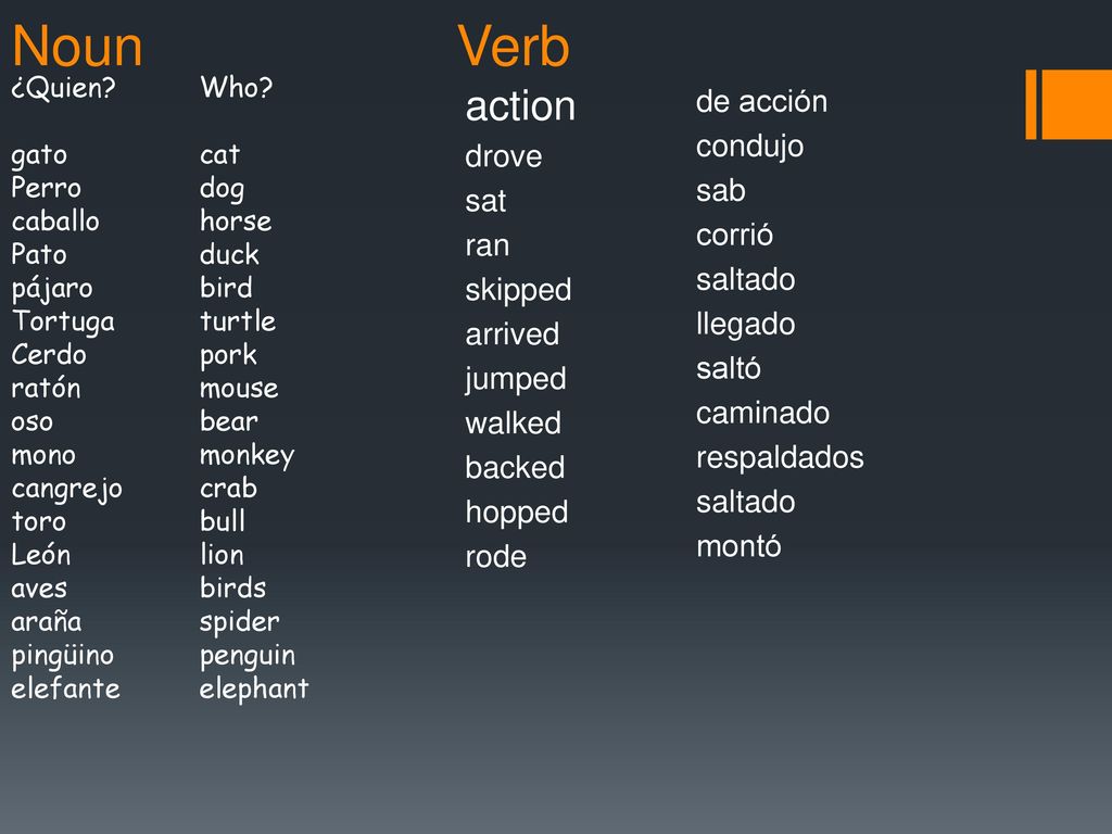 Noun Verb action de acción condujo drove sab sat corrió ran saltado
