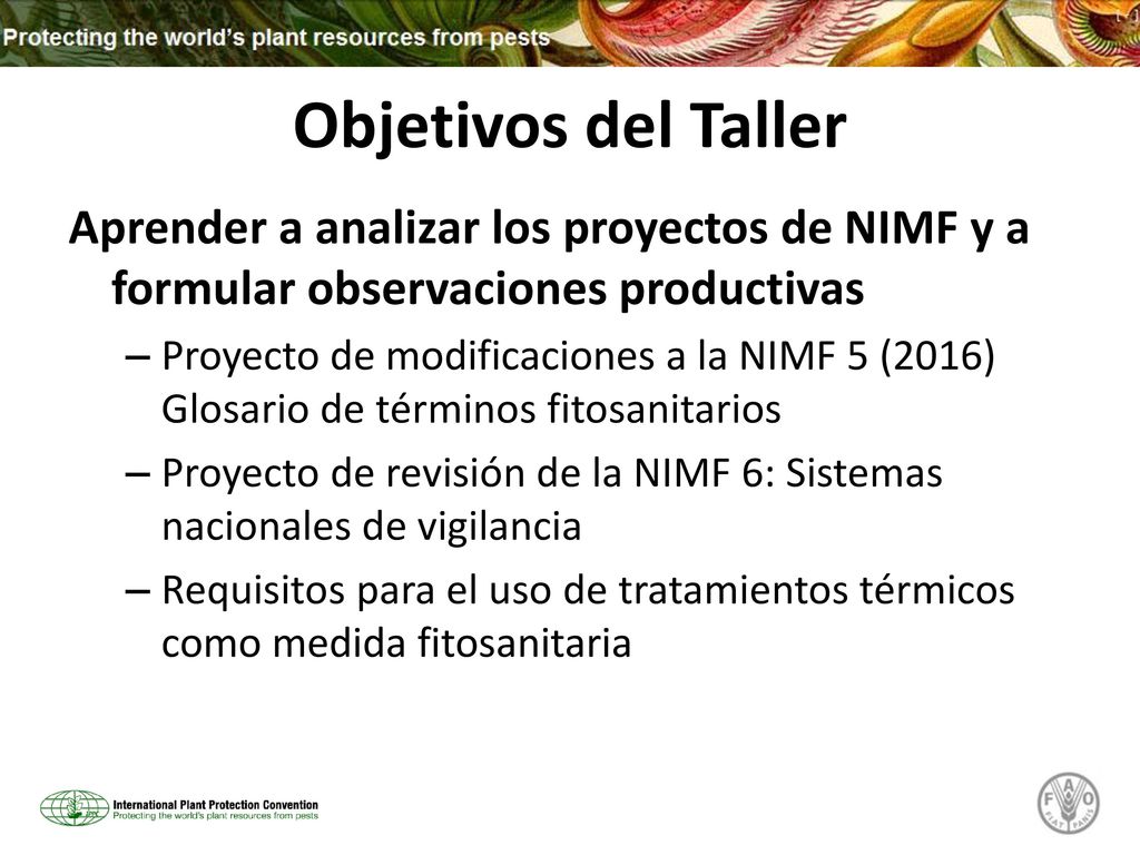 Objetivos del Taller Aprender a analizar los proyectos de NIMF y a formular observaciones productivas.