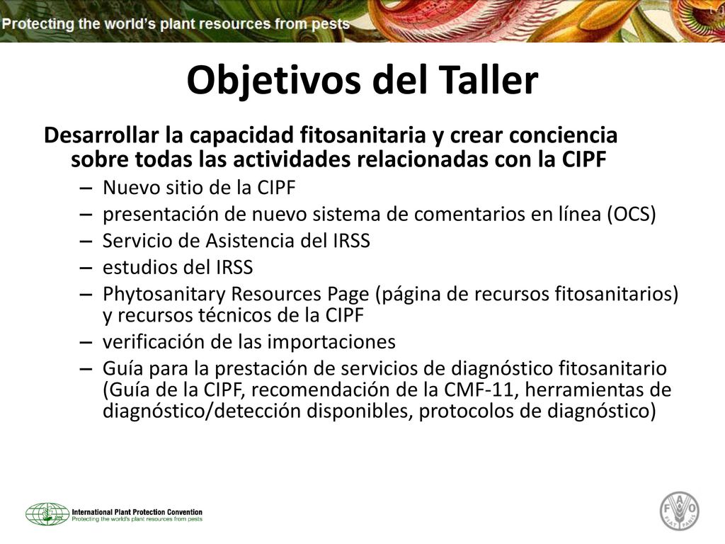 Objetivos del Taller Desarrollar la capacidad fitosanitaria y crear conciencia sobre todas las actividades relacionadas con la CIPF.