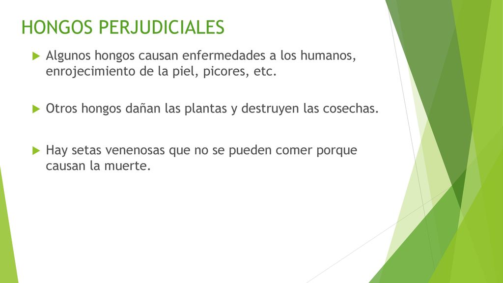 HONGOS PERJUDICIALES Algunos hongos causan enfermedades a los humanos, enrojecimiento de la piel, picores, etc.