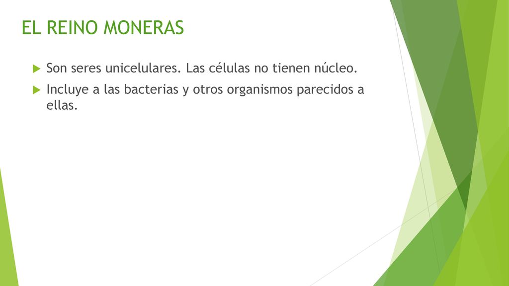 EL REINO MONERAS Son seres unicelulares. Las células no tienen núcleo.