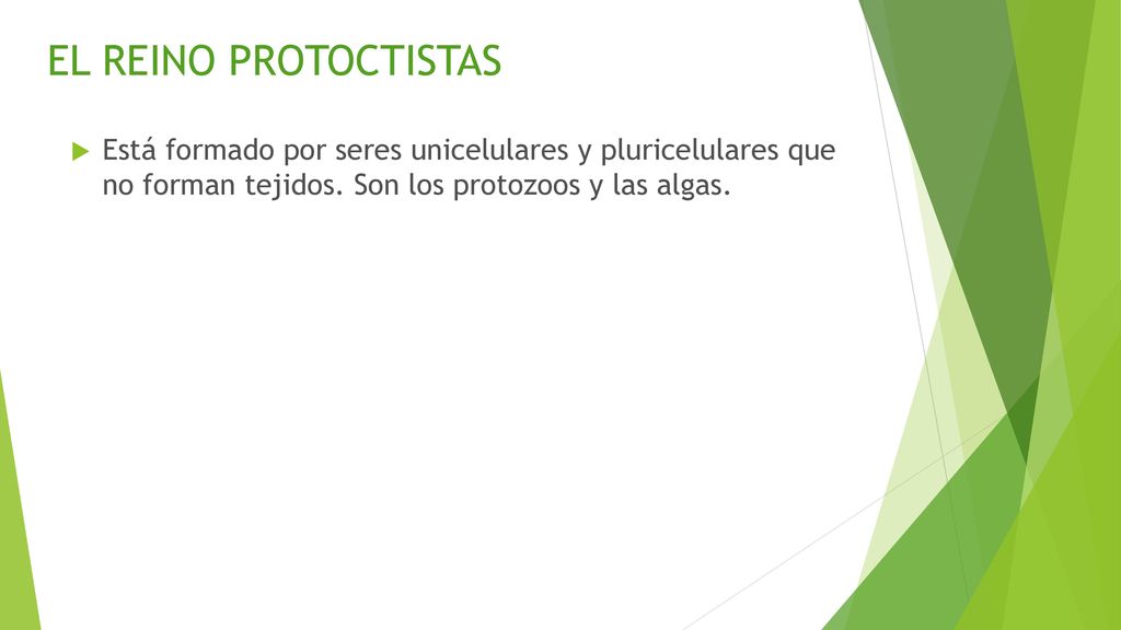 EL REINO PROTOCTISTAS Está formado por seres unicelulares y pluricelulares que no forman tejidos.