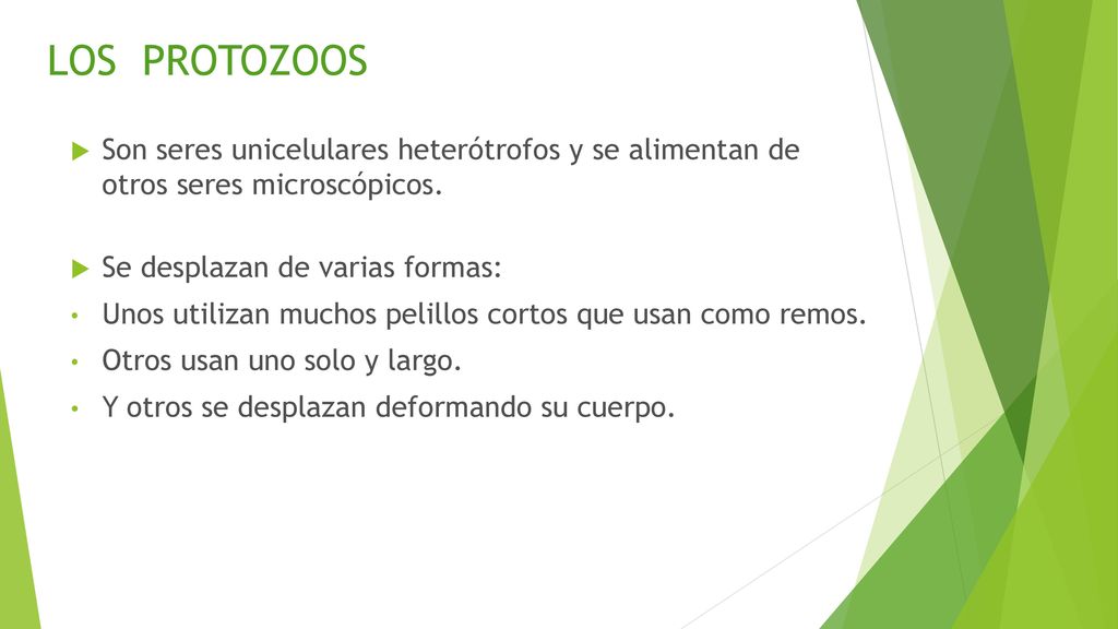 LOS PROTOZOOS Son seres unicelulares heterótrofos y se alimentan de otros seres microscópicos. Se desplazan de varias formas:
