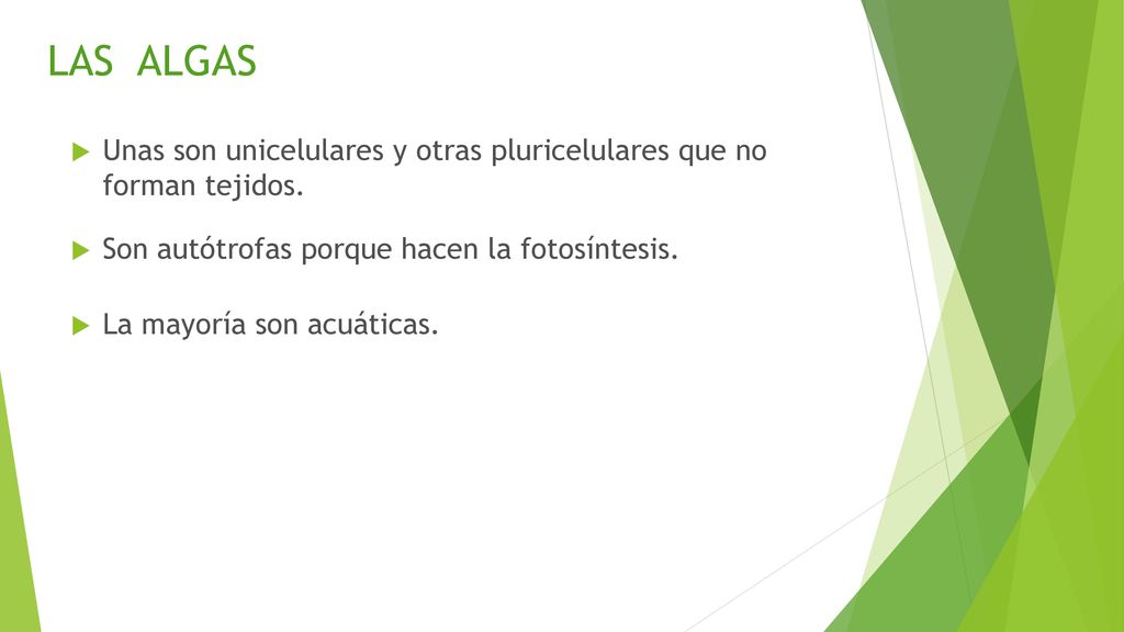 LAS ALGAS Unas son unicelulares y otras pluricelulares que no forman tejidos. Son autótrofas porque hacen la fotosíntesis.