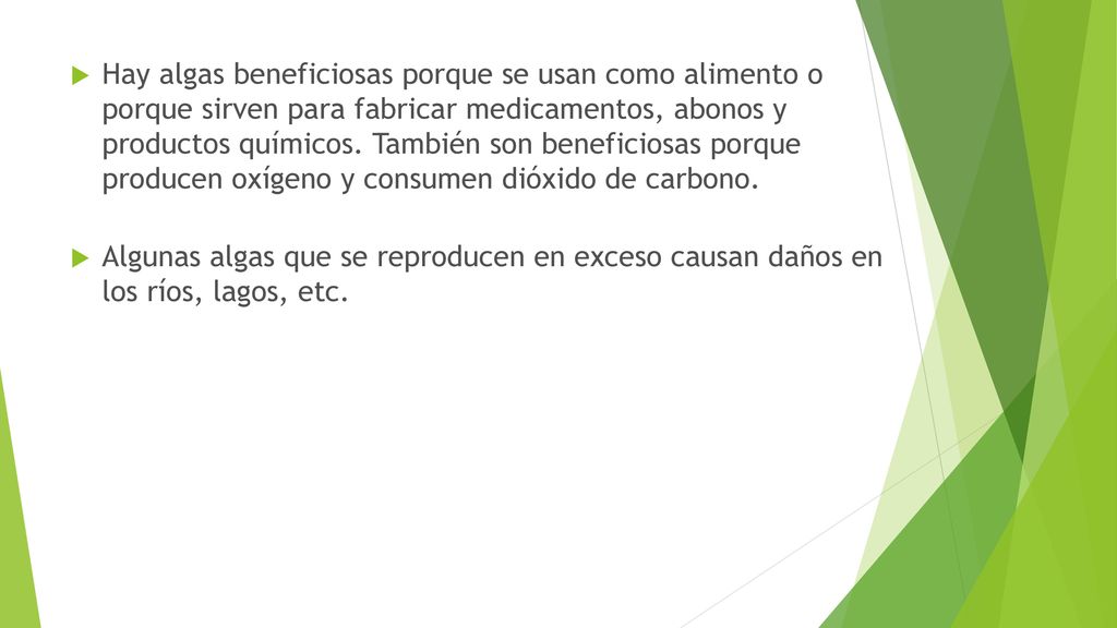 Hay algas beneficiosas porque se usan como alimento o porque sirven para fabricar medicamentos, abonos y productos químicos. También son beneficiosas porque producen oxígeno y consumen dióxido de carbono.