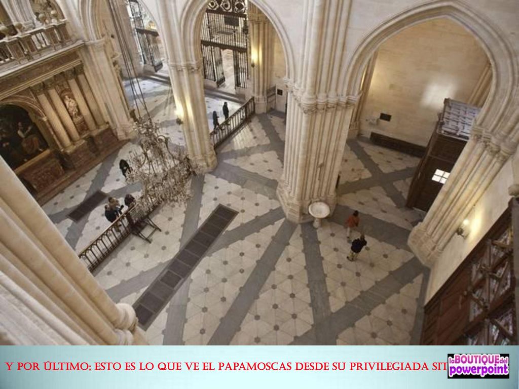 Y por último; esto es lo que ve el Papamoscas desde su privilegiada situación.