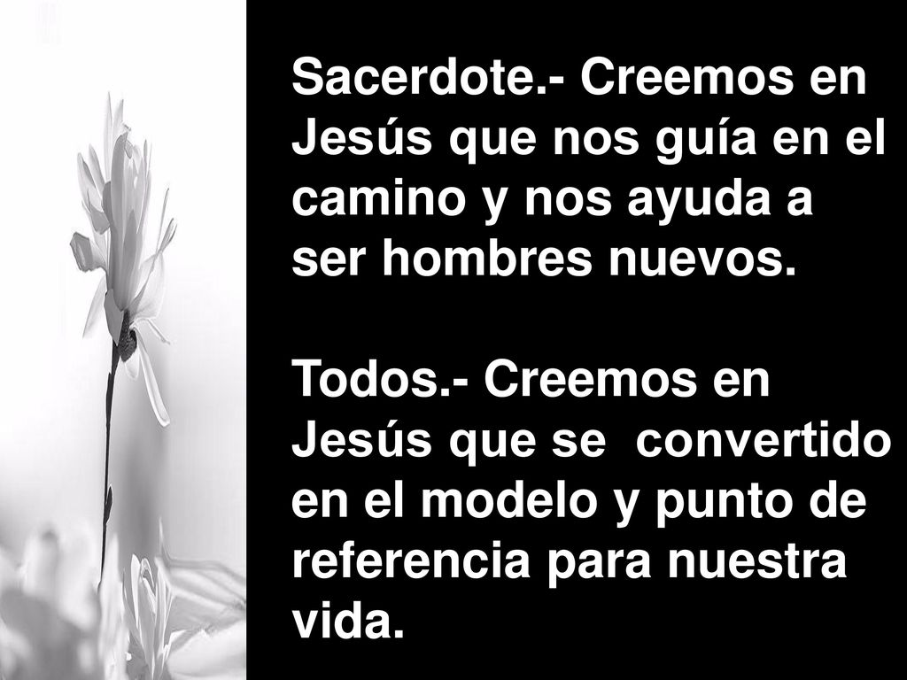 Sacerdote.- Creemos en Jesús que nos guía en el camino y nos ayuda a ser hombres nuevos.