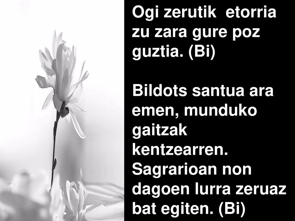 Ogi zerutik etorria zu zara gure poz guztia. (Bi)